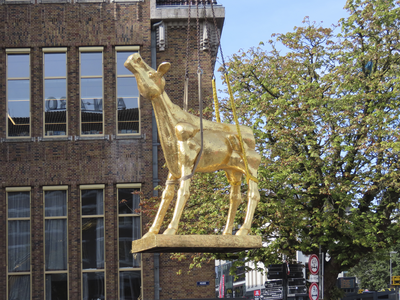 901977 Afbeelding van het beeld 'Het Gouden Kalf', symbool van het Nederlands Film Festival, op de Neude te Utrecht. ...